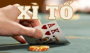 Xì Tố tại BK8